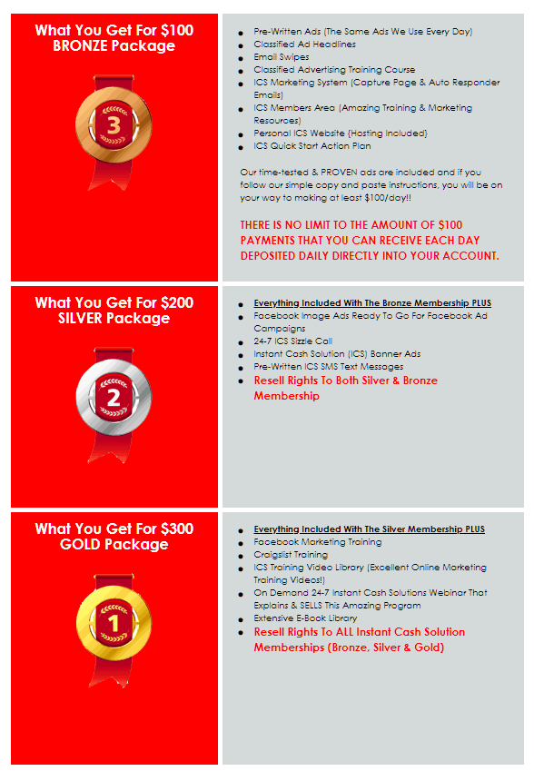 ICS Payment Structure