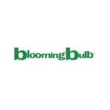 blooming bulb icon