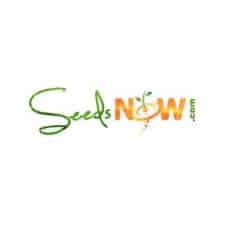 seeds now icon