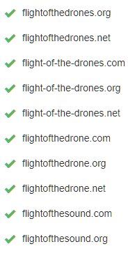 drone domains