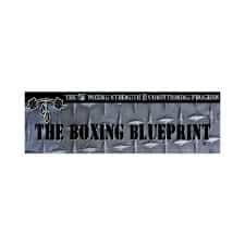 boxing blueprint icon