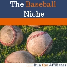 baseball niche icon