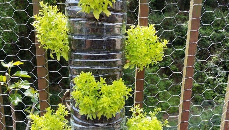 diy vertical garden