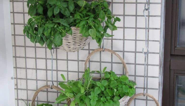 Hanging planters