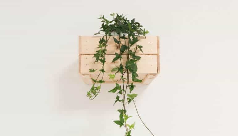 hanging herb planter