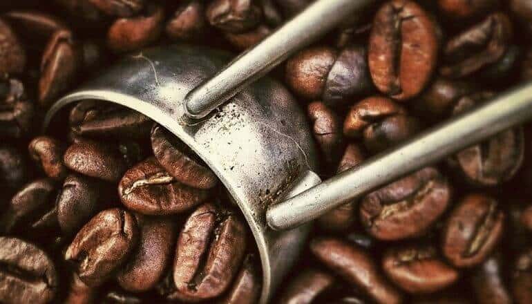 Scoop of coffee beans