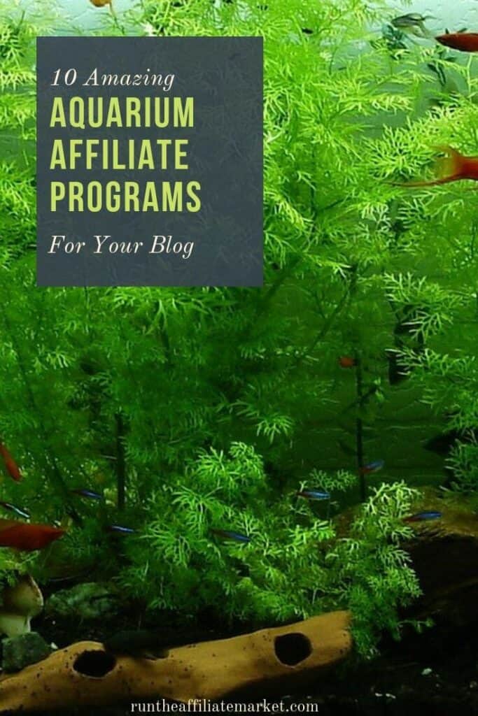 aquarium affiliate programs pinterest image