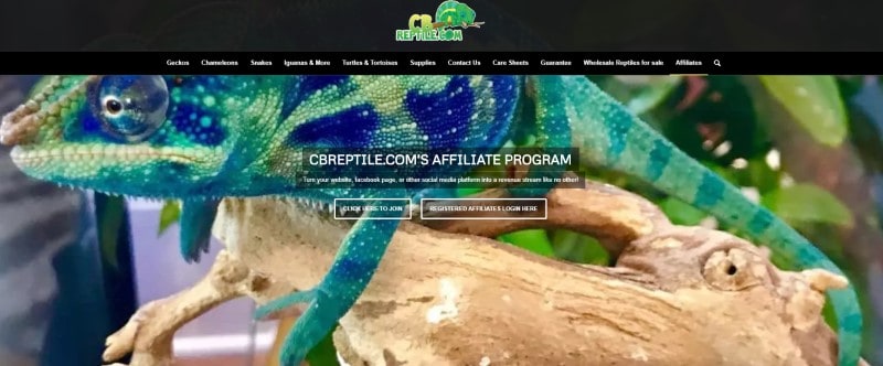 CB Reptiles screenshot