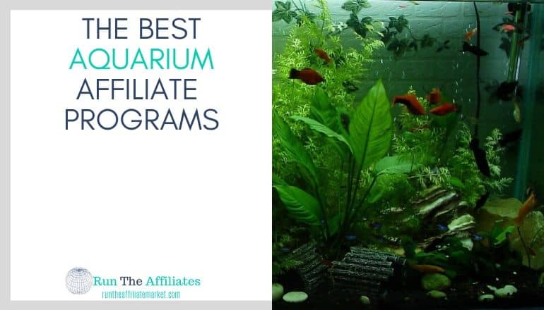 aquarium with green plants and orange fish as well as some accessories in the aquarium