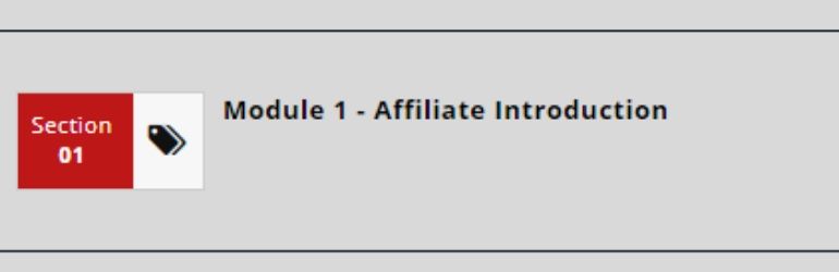 savage affiliate module 1