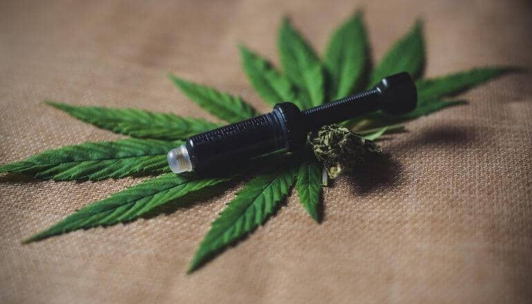 CBD dropper on a heamp leaf