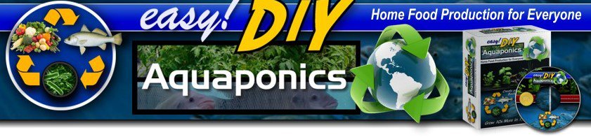 easy diy aquaponics 