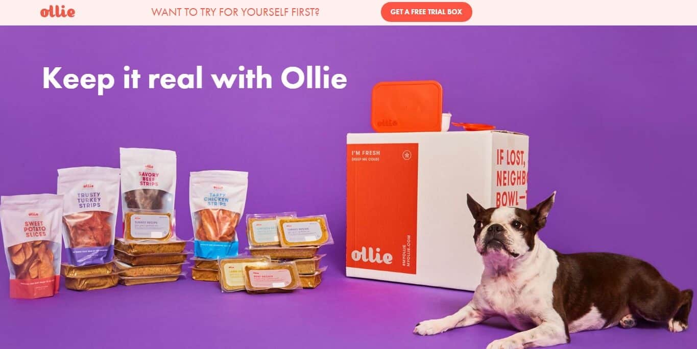 10 Amazing Dog Food Affiliate Programs Run the Affiliates