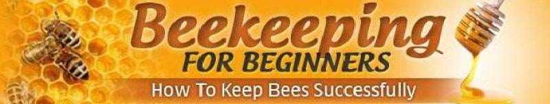 beekeeping for beginners screenshot