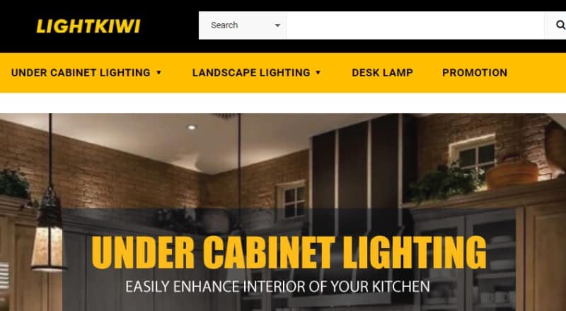 screenshot of the lightkiwi website