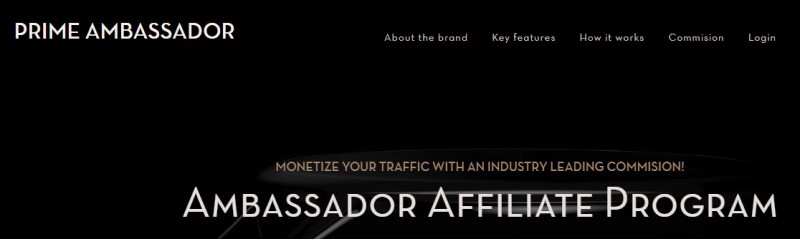 screenshot of prime ambassador website 