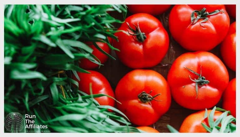 a top down image of herbs and tomatoes