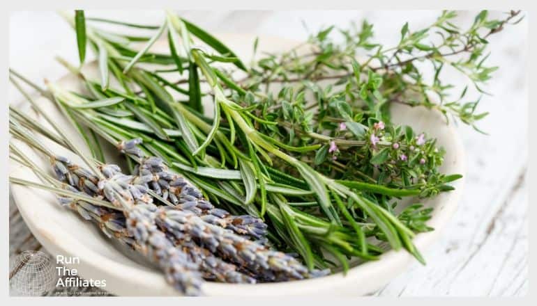 bowl of various herbs