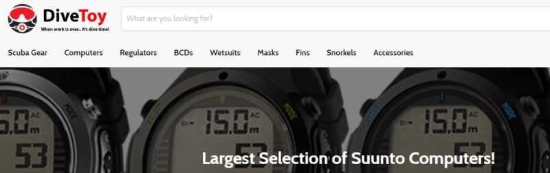 screenshot of the DiveToy website