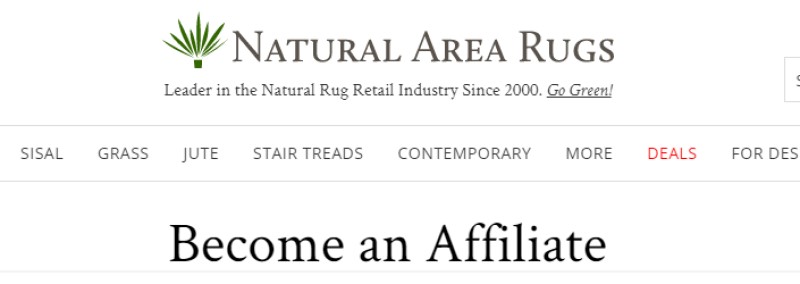 screenshot of the natural area rugs website