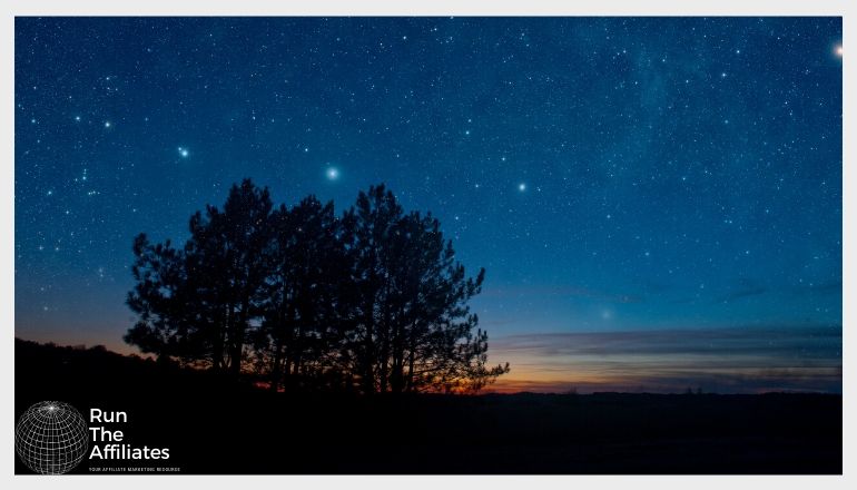 starfield at night with a tree in the foreground
