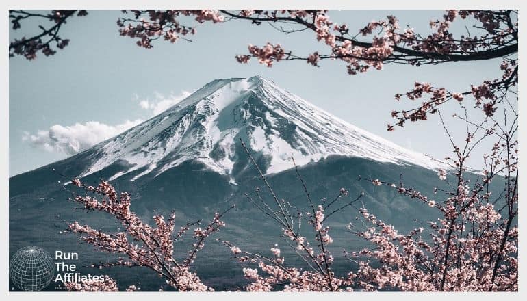 mount fuji surrounded by cherry blossoms