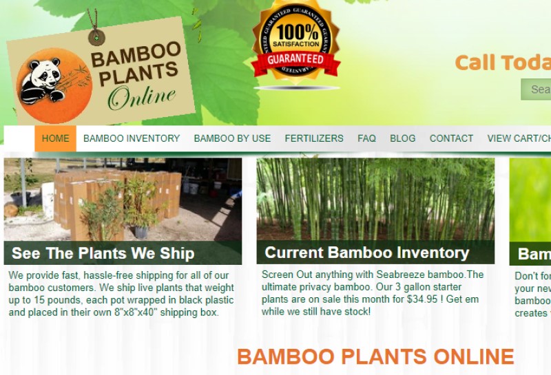 screenshot of the bamboo plants online website