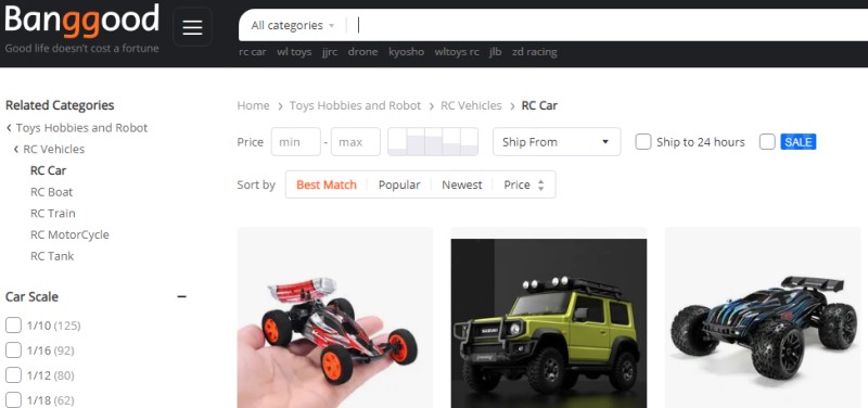 Rc store car websites