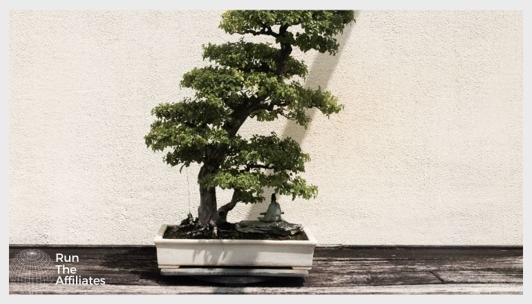 bonsai tree in an off white planter in front of a tan wall
