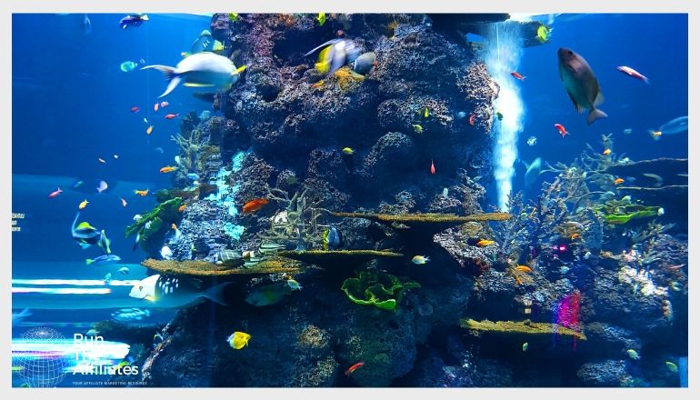 many fish swimming in a large aquarium