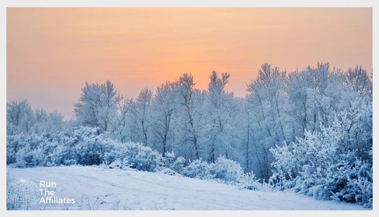 snow covered forest against an orange sky