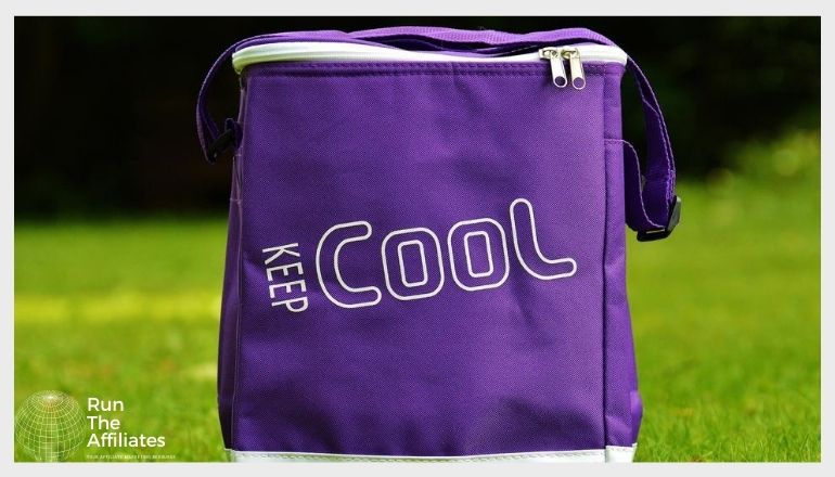 purple cooler sitting on green grass