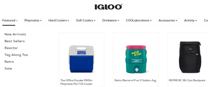 screenshot of the igloo coolers website