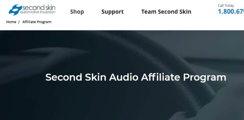 screenshot of the second skin website