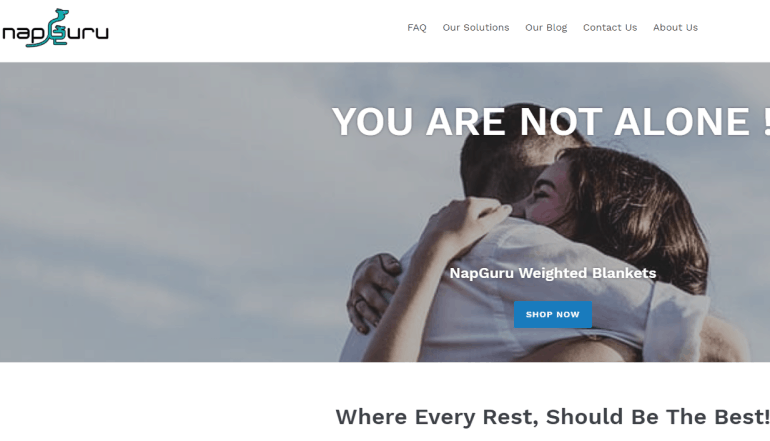 screenshot of the nap guru website