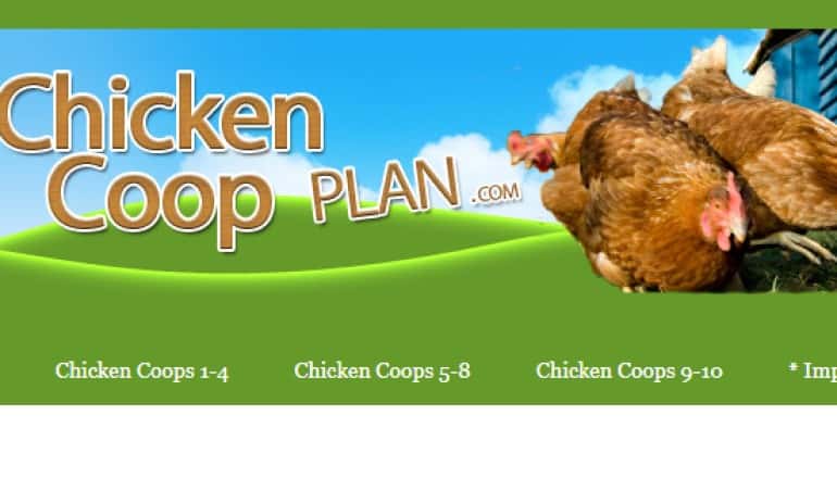 screenshot of the chicken coop plan website