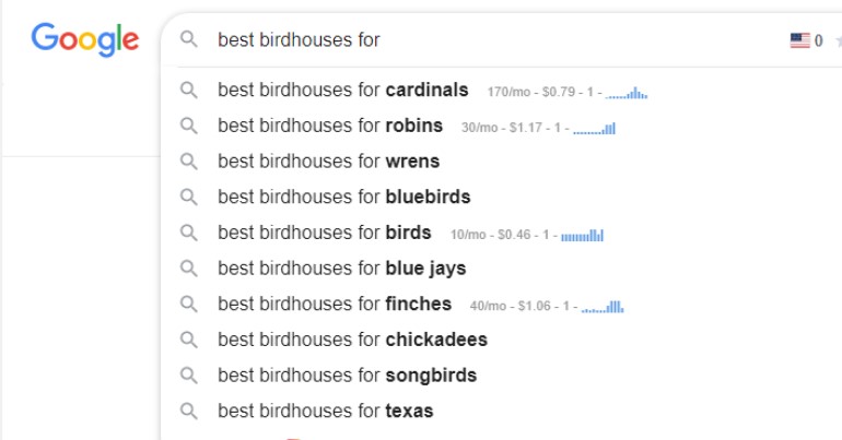 screenshot of google search for micro-niche ideas