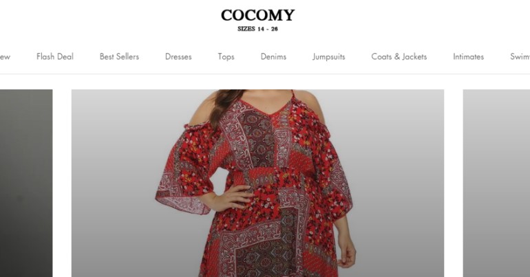 screenshot of the cocomy website